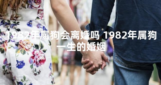 1982年属狗会离婚吗 1982年属狗一生的婚姻